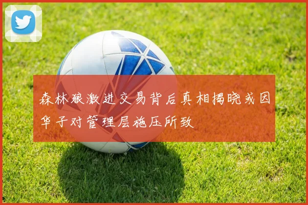 森林狼激进交易背后真相揭晓或因华子对管理层施压所致
